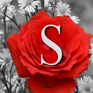 Meet your Posher, Shelby